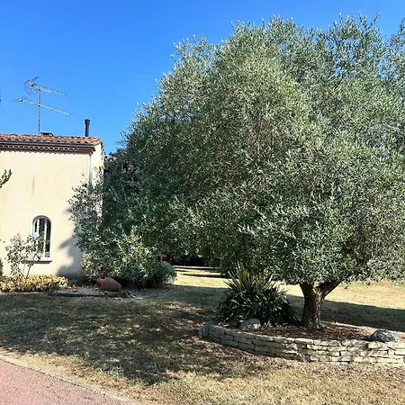 Grande Maison Avec Piscine Terrasse Et Veranda, Ideale En Famille Ou Entre Amis